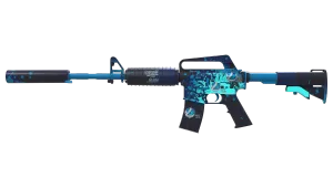 Skin's image