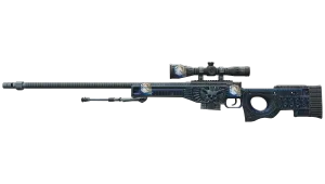 Skin's image