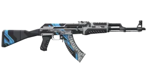 Skin's image