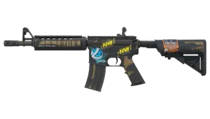 Skin's image