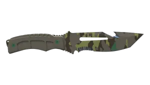 Skin's image