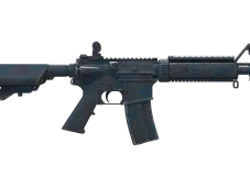 Skin's image