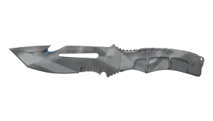 Skin's image