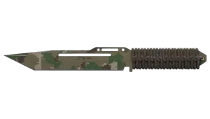 Skin's image