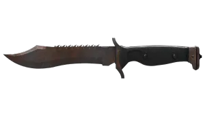 Skin's image