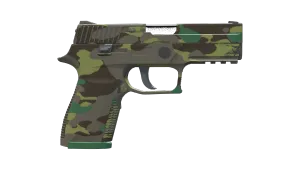 Skin's image