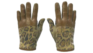 Skin's image