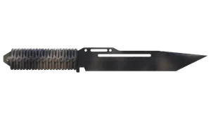 Skin's image
