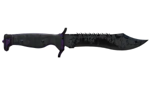 Skin's image