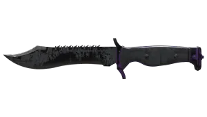 Skin's image