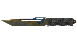 Skin's image