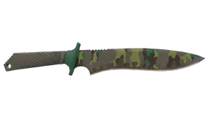 Skin's image