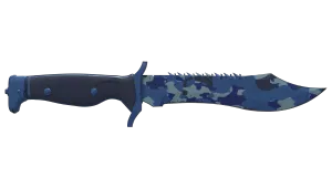 Skin's image