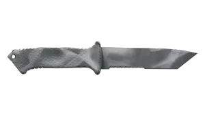 Skin's image