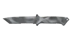 Skin's image