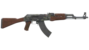 Skin's image