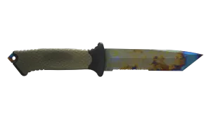 Skin's image