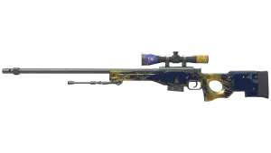 Skin's image