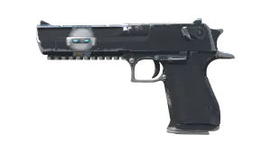 Skin's image
