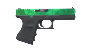 Skin's image