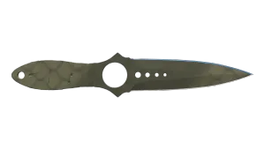 Skin's image