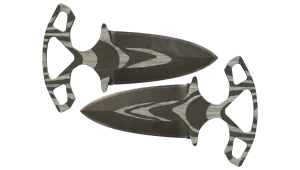 Skin's image