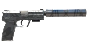 Skin's image