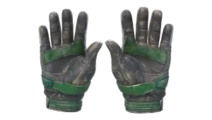 Skin's image