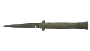 Skin's image