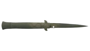 Skin's image