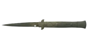 Skin's image