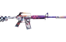 Skin's image