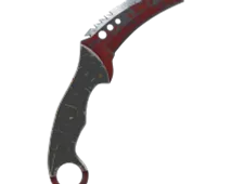 Skin's image