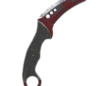 Skin's image