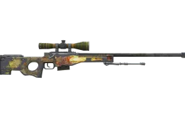 Skin's image