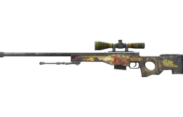 Skin's image