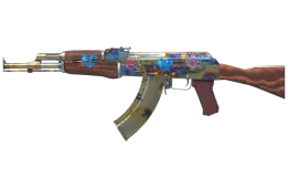 Skin's image