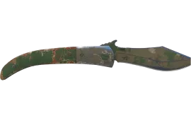 Skin's image