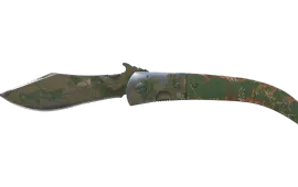 Skin's image