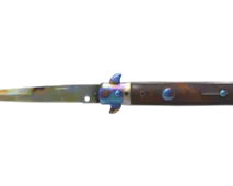 Skin's image