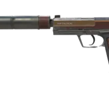 Skin's image