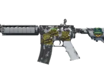 Skin's image