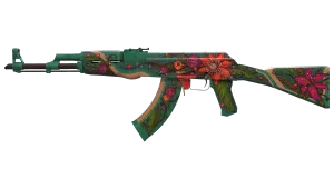 Skin's image