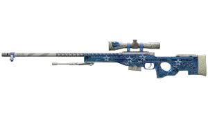 Skin's image