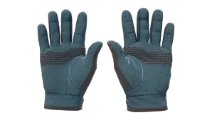Skin's image