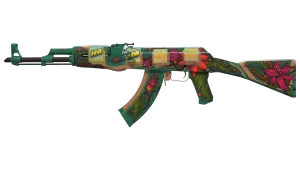 Skin's image