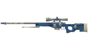 Skin's image