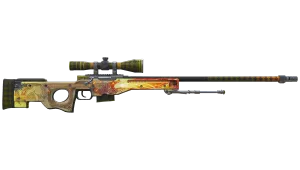 Skin's image
