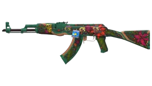 Skin's image