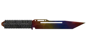 Skin's image